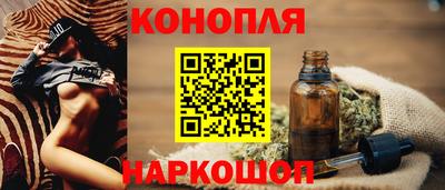 крисы Кунгур