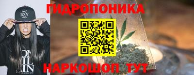 крисы Кунгур
