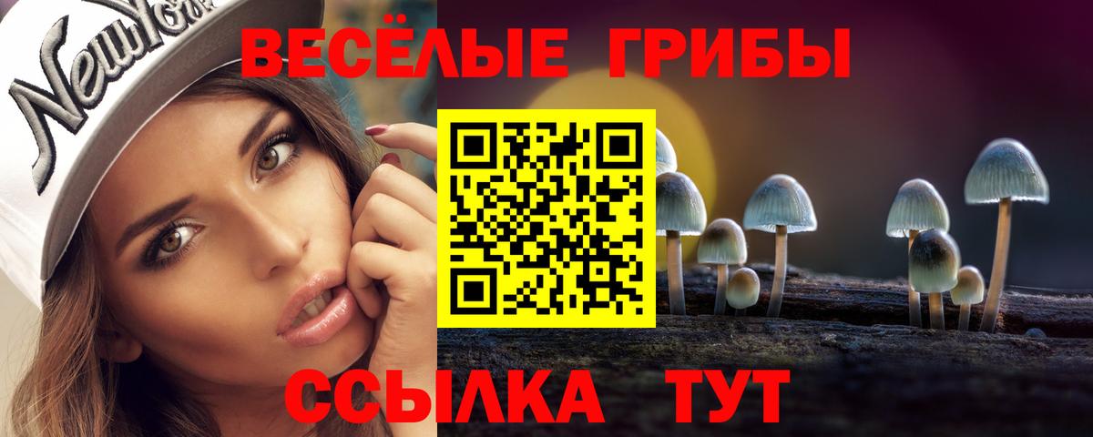 Псилоцибиновые грибы мицелий  Вход с VPN  Зеленокумск 